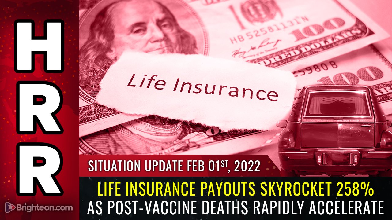 Life Insurance Payouts Skyrocket 258% as Post-Vaccine Deaths Rapidly Accelerate - Global ResearchGlobal Research - Centre for Research on Globalization