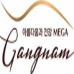Mega Gangnam