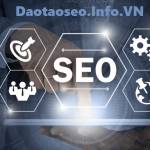 Đào tạo SEO Baptop